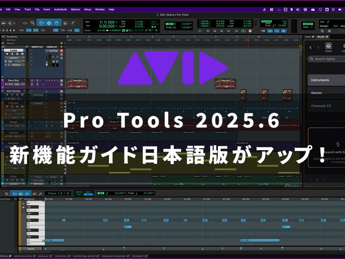 20250715_Avid_1244_800-1-