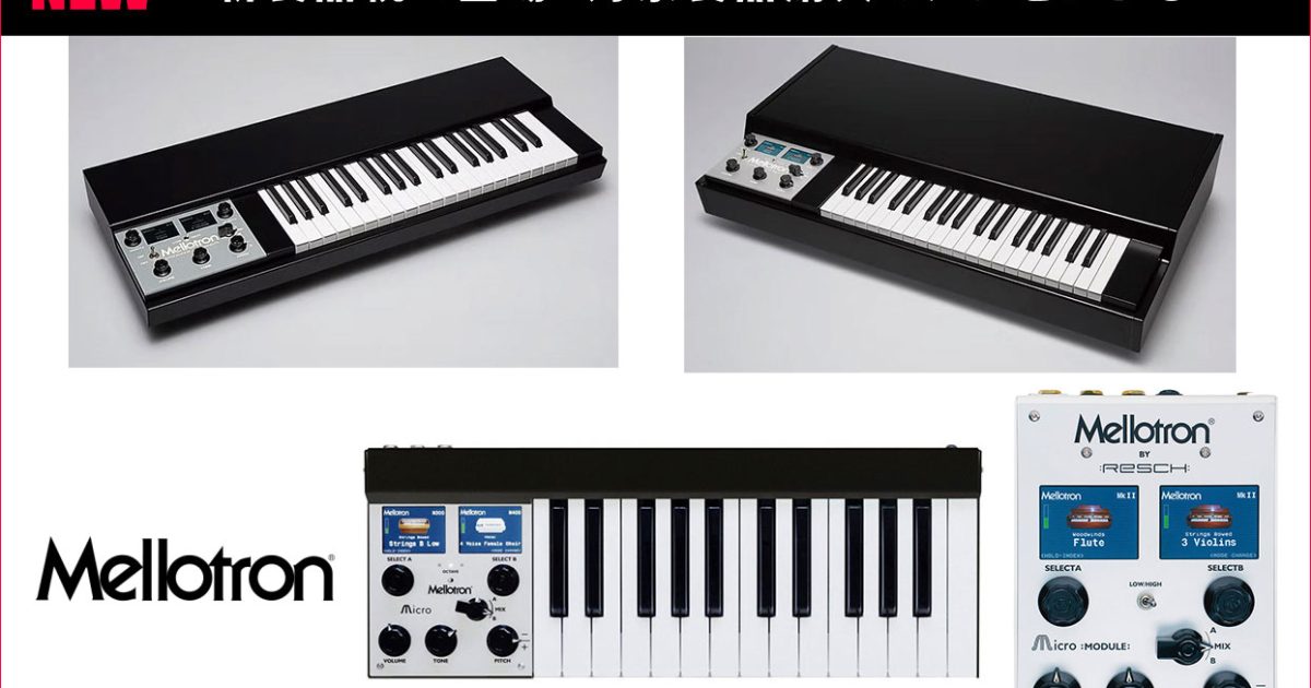 20250804_Mellotron_1244_800-