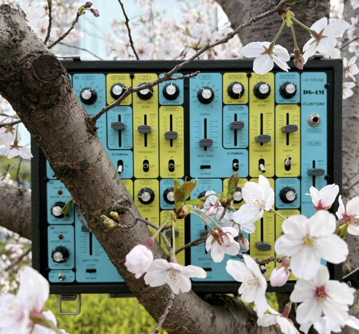 ULT-SOUND スタッフ写真